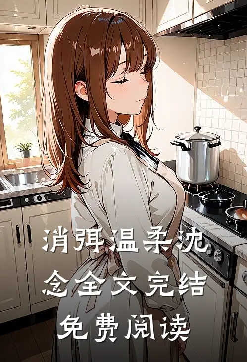 消弭温柔沈念全文完结免费阅读