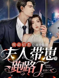 记忆审判：老婆求你看我一眼后续+番外篇