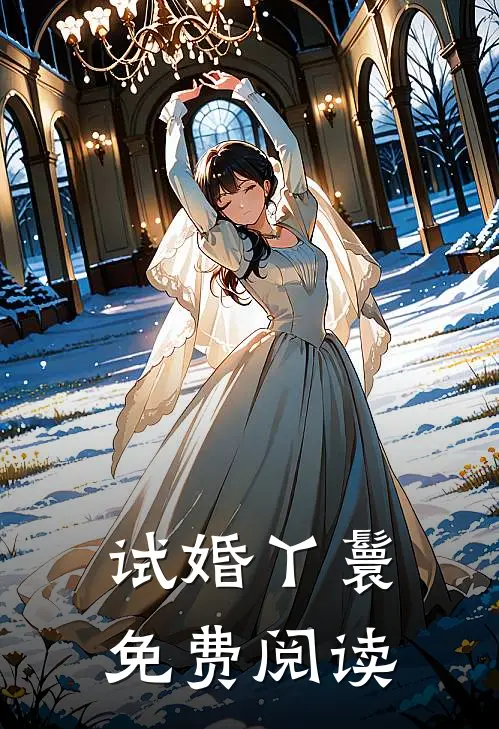试婚丫鬟免费阅读