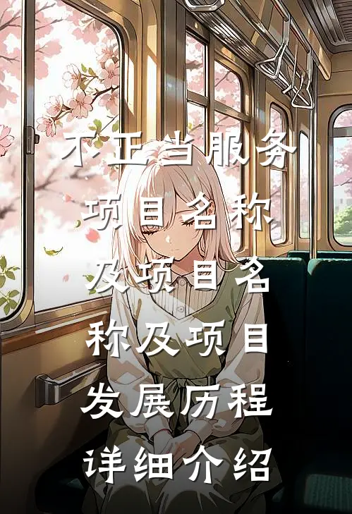 不正当服务项目名称及项目名称及项目发展历程详细介绍