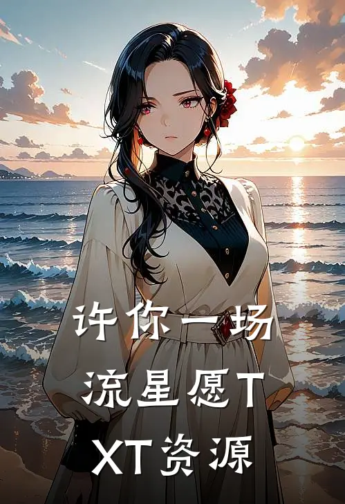 许你一场流星愿TXT资源