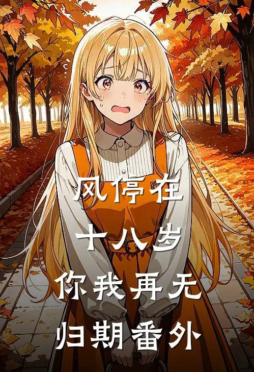风停在十八岁，你我再无归期番外