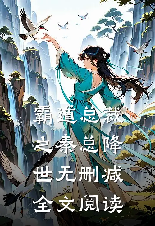 霸道总裁之秦总降世无删减全文阅读