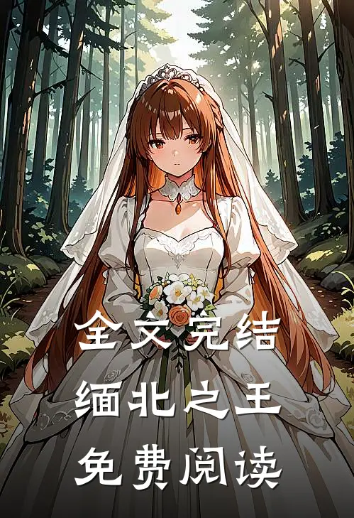 全文完结缅北之王免费阅读