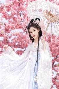 明月清如许，不曾照归人全文阅读最新