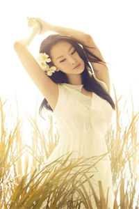 谢却人间二月红小说全文免费