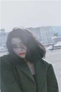 沉默的继承人畅销巨著