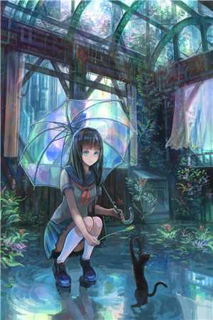 暴雨过后，必定天晴爆火全网