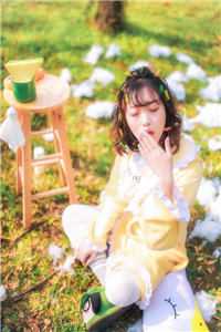 红楼灯火阑珊阅读