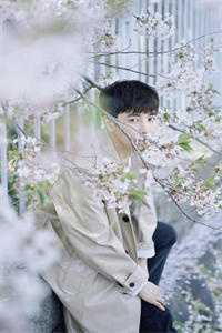 布津漫天雪夜：一场意外浪漫邂逅全文免费