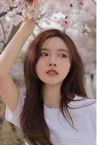 我心归处人无常免费阅读全文