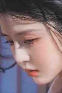 云舒南城音书晚江清离谢京屿全文+免费