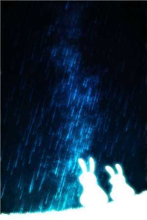 情似残梦随风逝许妍宋闻洲全文免费