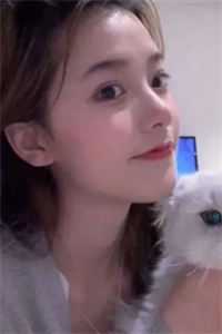 孤星悬星河周珈宁顾弘宴番外