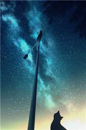 漫漫青禾伴骨笙免费阅读全文