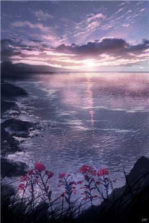 山月照我鬓边霜全集