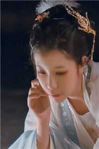 旧巷花落人无踪爆火全网