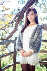 你如雪落寂无声完整阅读