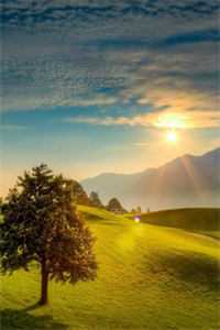 沉默的继承人精品篇