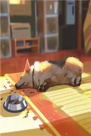 没名分的爱她不要了，蒋少却慌了短篇