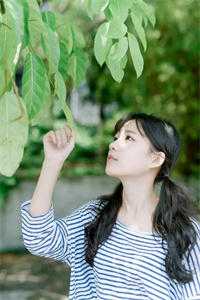 忽闻秋风起，送君永不归完结+番外