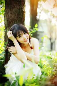 一夜风吹絮连载