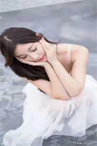 红楼灯火阑珊爆款宝藏