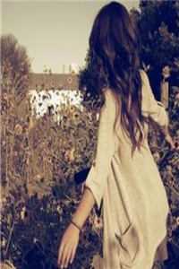 可曾许我昭昭目录