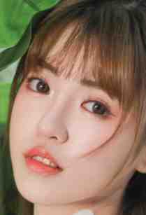 春风难覆桃花雪广告+结局