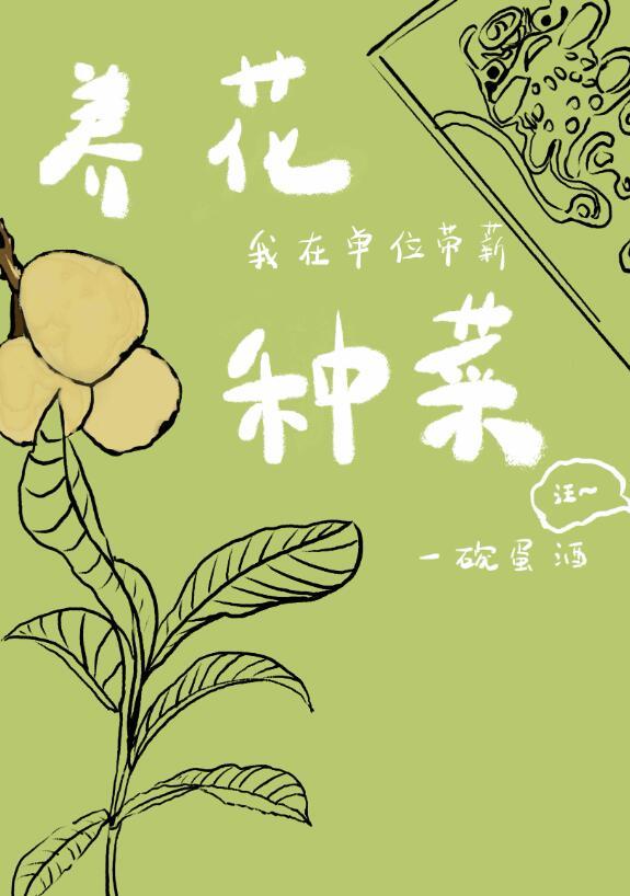 见家长，男友见面礼的预算只有二十块后续