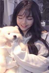 北城旧梦扰清风列表