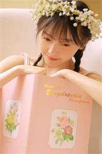 就让往事，消散于风陆远舟齐婉言后续+全文