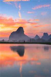 情深尽处骨成灰小说大结局