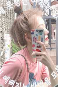 一念风止，一晌贪欢热门小说