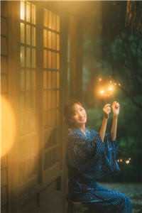 他曾与星光诉爱意的小说