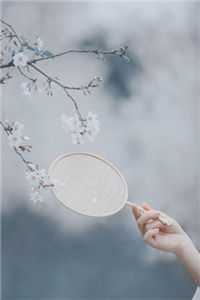 万千涟漪，不及与你细水长流沈洛烟周烬辞全文+免费