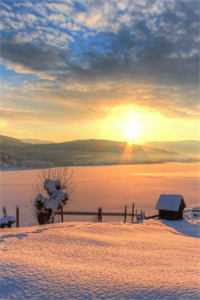 雾月沉入琥珀川精品篇