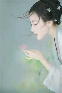 明月清如许，不曾照归人小说全文免费阅读