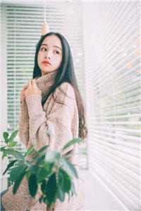 你未赴今生，我自有归人最新章节列表