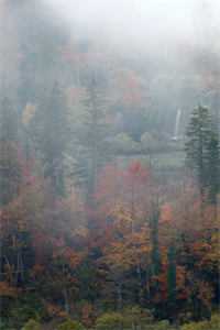 夫向乌思我向京全新