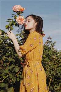 西平风起云未舒推荐