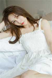 北城旧梦扰清风人气小说