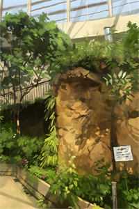 生命倒计时七天，系统终于激活了！林凡王可唯结局+番外