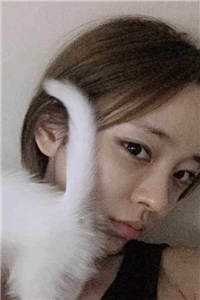 假如我不曾爱过你小说在线阅读免费