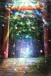 朝霞不渡晚来风全篇