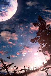 新帝登基，强娶娇妻后日日不见君全章阅读