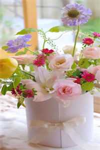 旧梦沉于暮色周京野温知予大结局