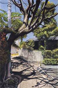 新帝登基，强娶娇妻后日日不见君已完结版