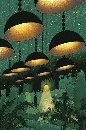 你如夏风迟未至未删节