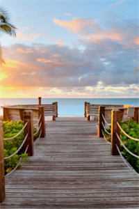 此爱杳杳无期许热门小说